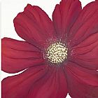 2010 Cranberry Blush painting